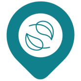 best hostel puerto escondido